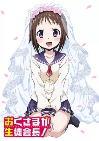Okusama ga Seitokaichou!