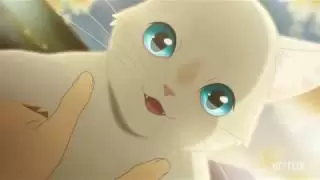 Video #6295