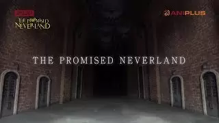 Video #6666