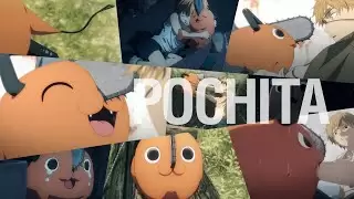 Video #4497