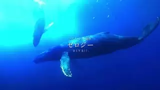 Video #7449