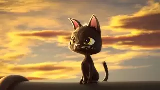 Video #9658