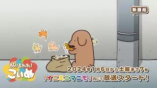Video #3274