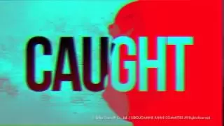 Video #11357