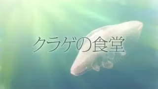 Video #9747