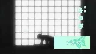 Video #9885