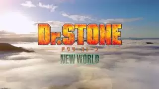 Video #3528