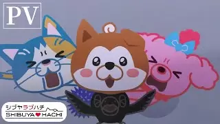 Video #2169