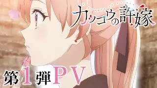 Video #4984