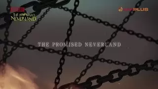 Video #6667