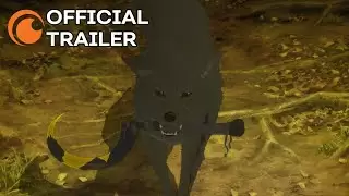 Video #4282