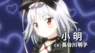 Video #11519