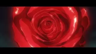 Video #8137