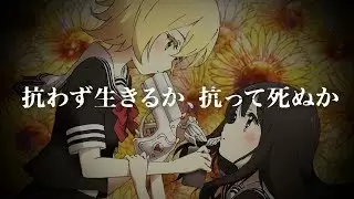 Video #8050