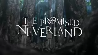 Video #6034